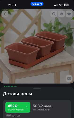 Набор для рассады